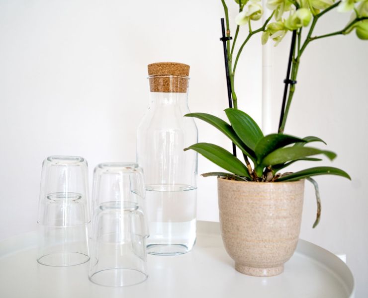 Orchideen und Gläser in der Physiotherapiepraxis in Hamburg-Alsterdorf