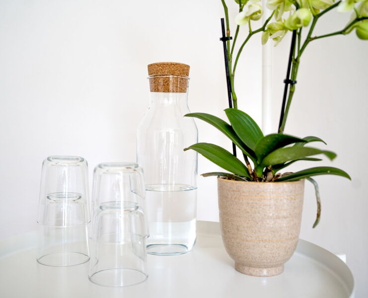 Orchideen und Gläser in der Physiotherapiepraxis in Hamburg-Alsterdorf